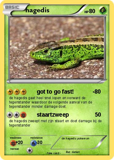 Pokemon hagedis