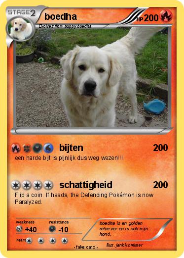Pokemon boedha