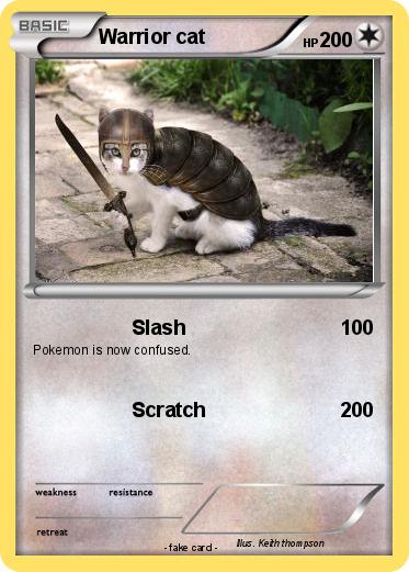 Pokemon Warrior cat