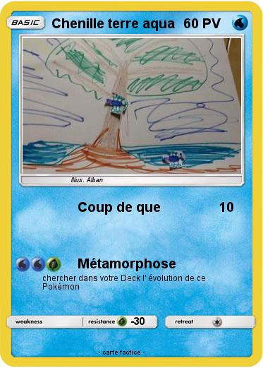 Pokemon Chenille terre aqua