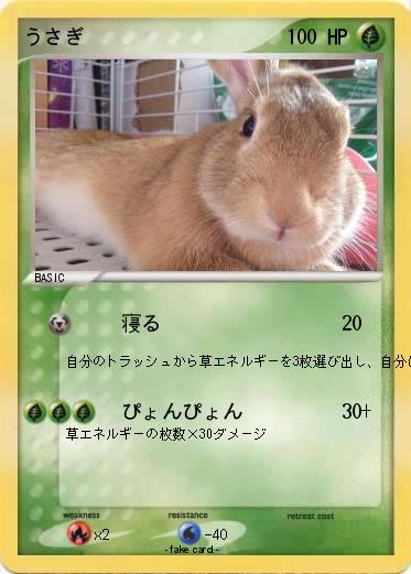 Pokemon うさぎ