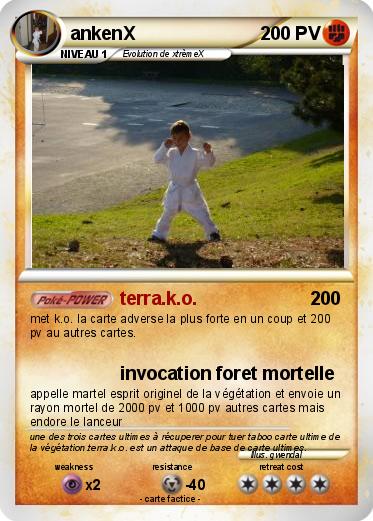 Pokemon ankenX