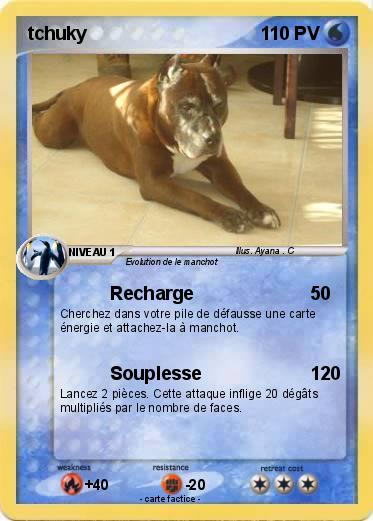 Pokemon tchuky