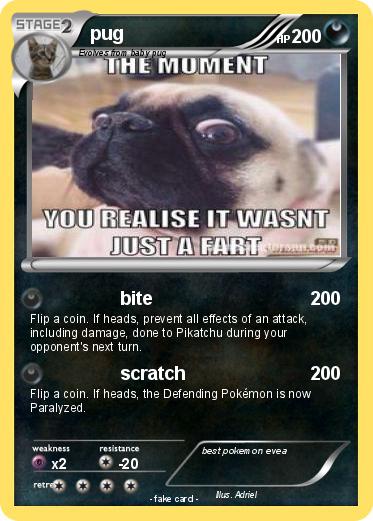 Pokemon pug