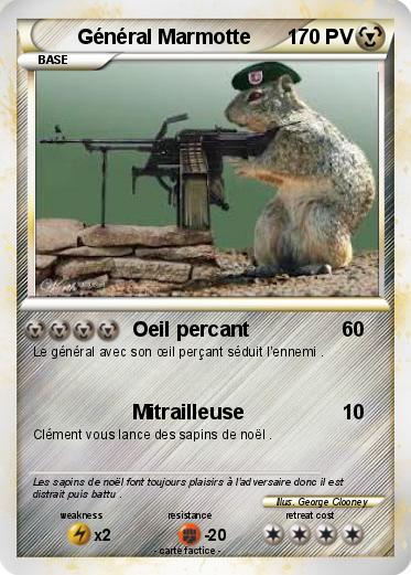 Pokemon Général Marmotte