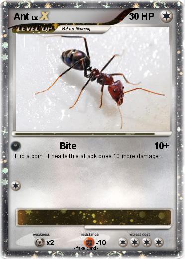Pokemon Ant