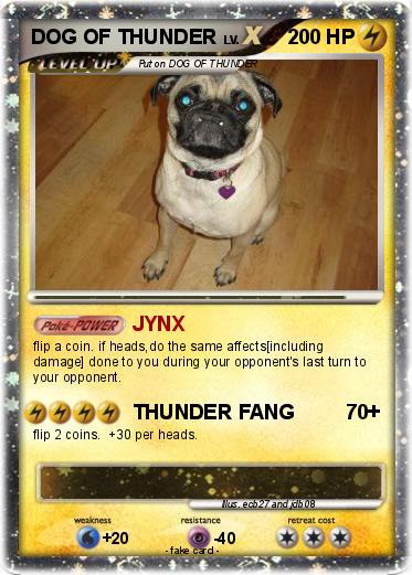Pokemon DOG OF THUNDER