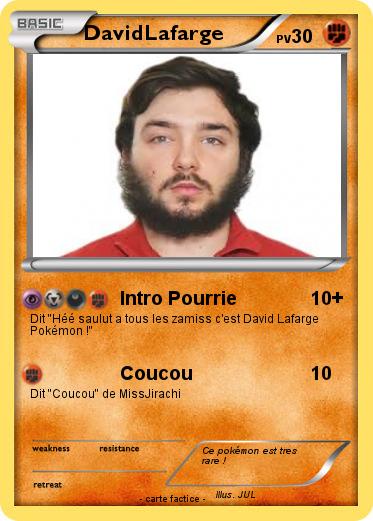 Pokemon DavidLafarge