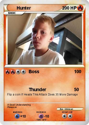 Pokemon Hunter