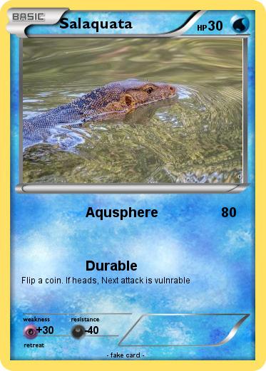 Pokemon Salaquata