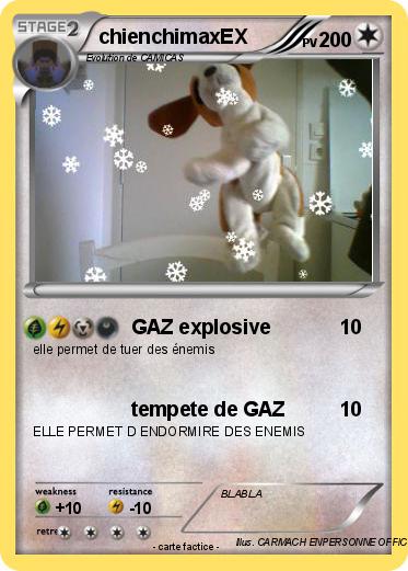 Pokemon chienchimaxEX