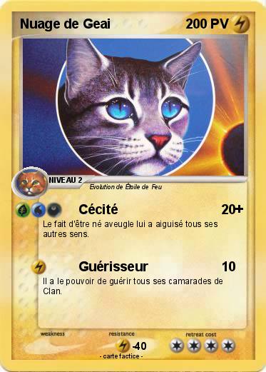 Pokemon Nuage de Geai