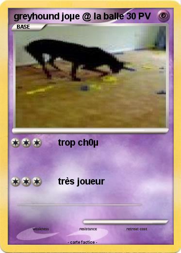 Pokemon greyhound joµe @ la balle