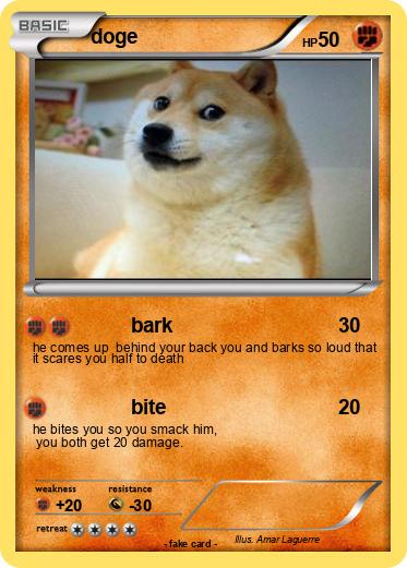 Pokemon doge