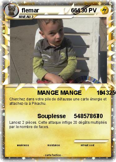Pokemon flemar                    664