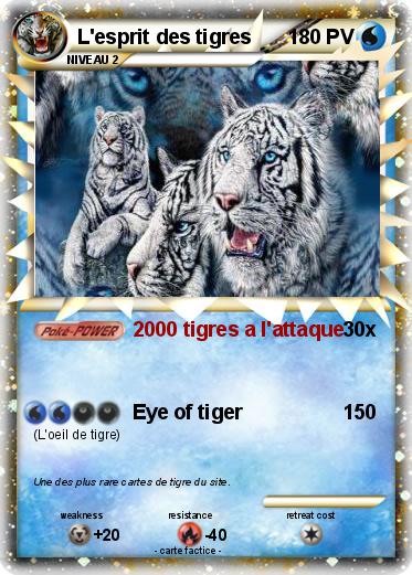 Pokemon L'esprit des tigres