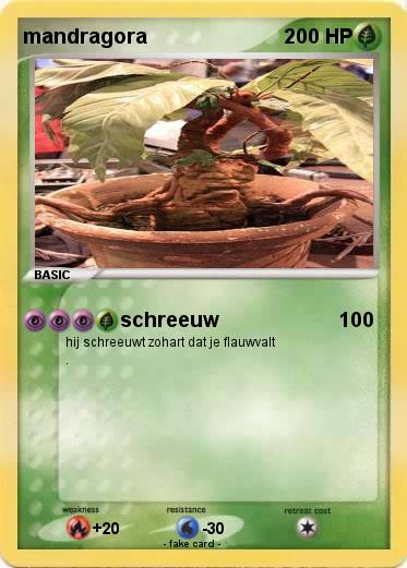 Pokemon mandragora