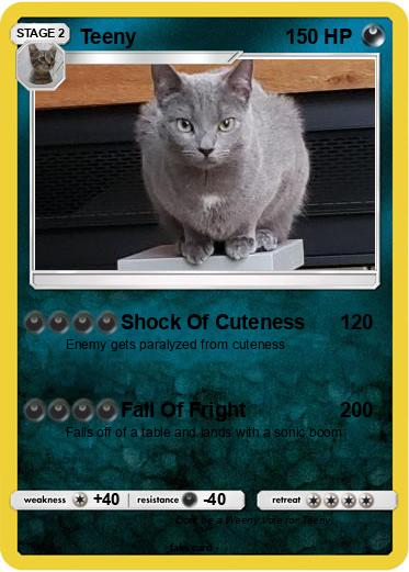 Pokemon Teeny