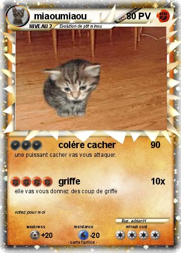 Pokemon miaoumiaou