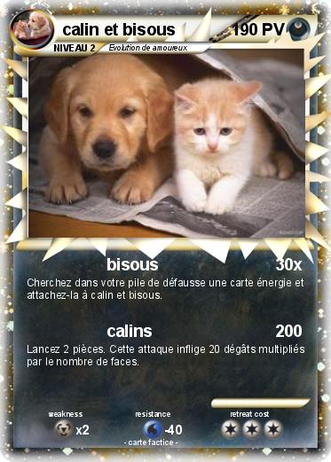 Pokemon calin et bisous