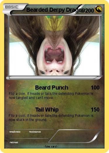 Pokemon Bearded Derpy Dragon