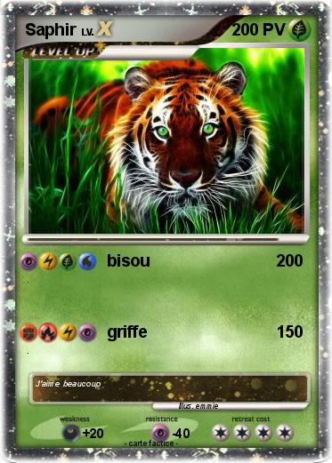 Pokemon Saphir