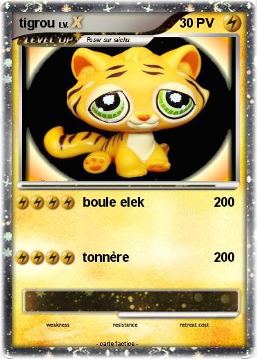 Pokemon tigrou