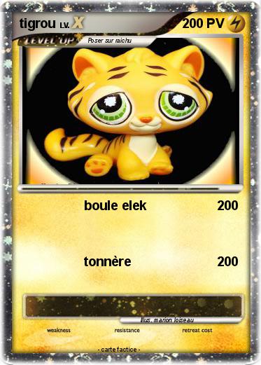 Pokemon tigrou