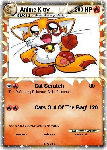 Pokemon Anime Kitty