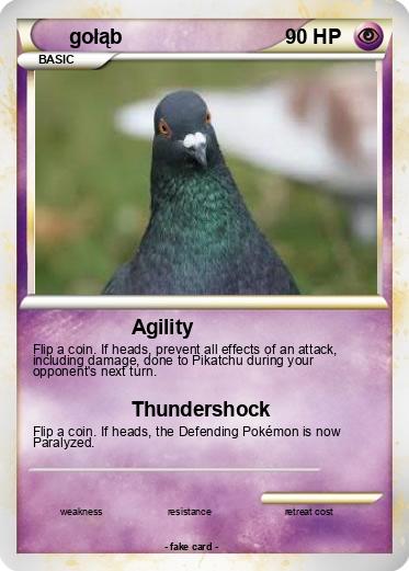 Pokemon gołąb