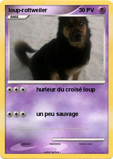 Pokemon loup-rottweiler