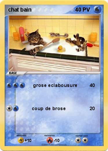 Pokemon chat bain