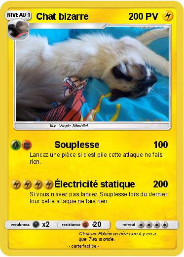 Pokemon Chat bizarre