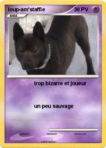 Pokemon loup-am'staffie