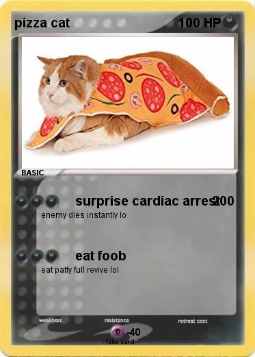 Pokemon pizza cat