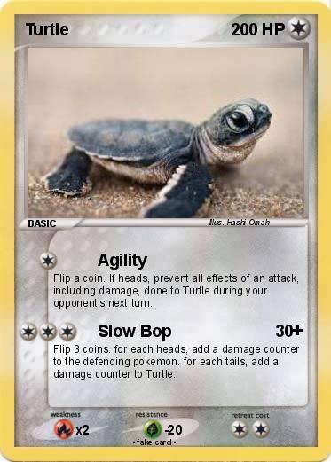 Pokemon Turtle