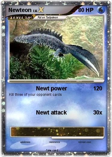 Pokemon Newteon