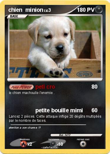 Pokemon chien  minion