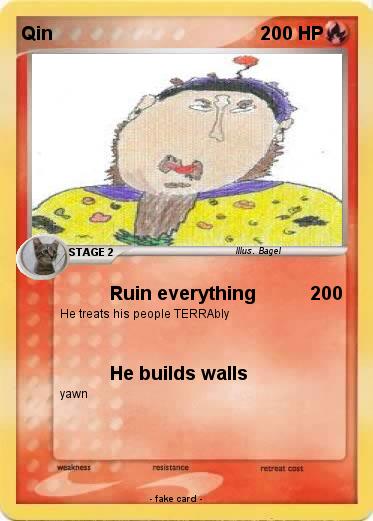 Pokemon Qin