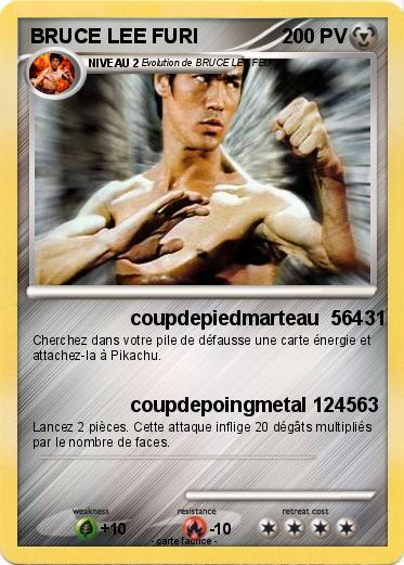 Pokemon BRUCE LEE FURI