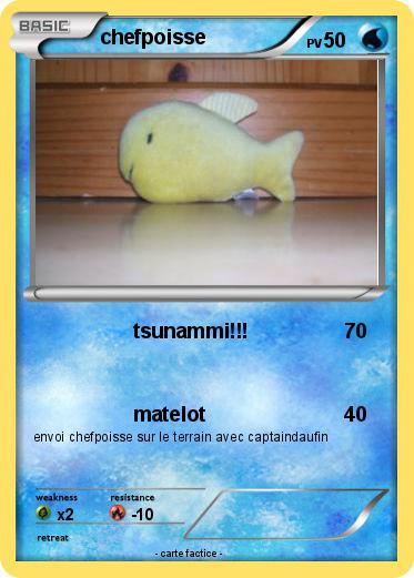 Pokemon chefpoisse
