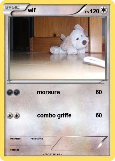 Pokemon wif