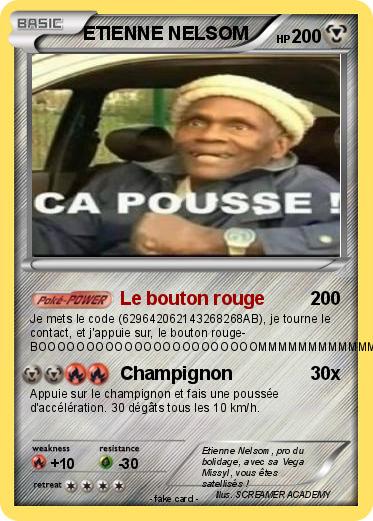 Pokemon ETIENNE NELSOM