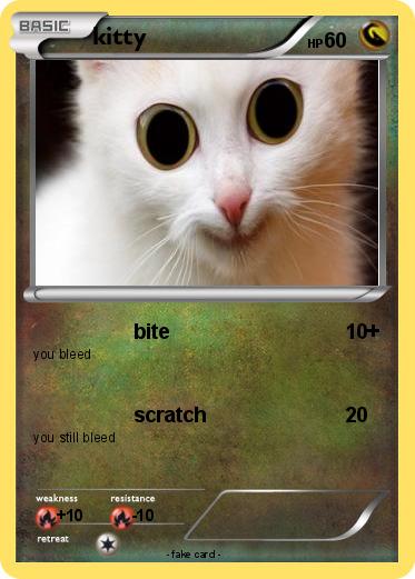 Pokemon kitty