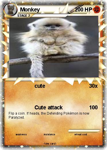Pokemon Monkey