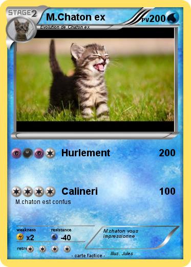 Pokemon M.Chaton ex