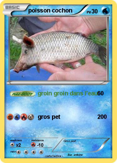 Pokemon poisson cochon