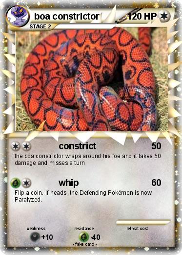 Pokemon boa constrictor