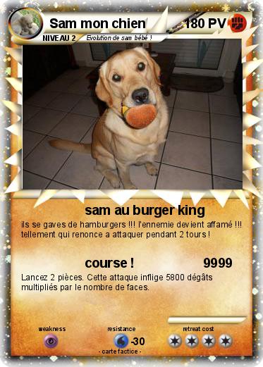 Pokemon Sam mon chien