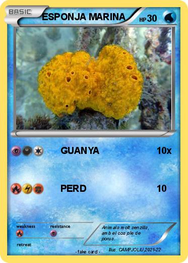 Pokemon ESPONJA MARINA